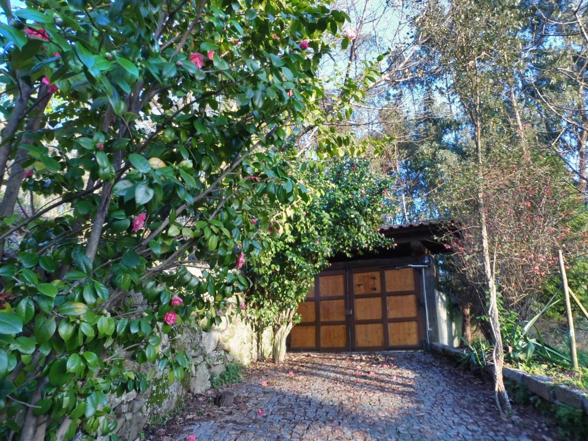 Quinta Da Tapada Longos